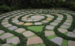 Kyoto Super Dwarf Mondo Grass - 3 Pack Of Pint Pots -Botanhush Sales Grass Mondo Super Dwarf 2