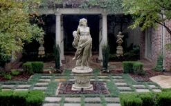 Dwarf Mondo Grass - 72 Pack Of 3.5" Pint Pots -Botanhush Sales Picture Mondo Grass Dwarf Pavers