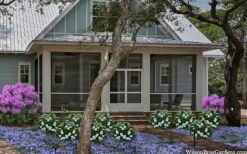 Snow Globe Gardenia - 3 Gallon Pot -Botanhush Sales gardenia jasminoides snow globe 2