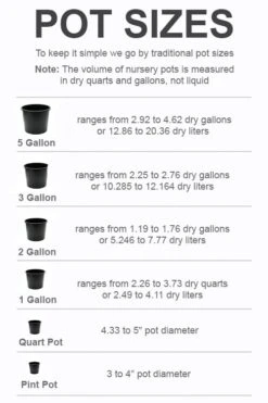 Botanhush Sales -Botanhush Sales pot size chart 2022 501