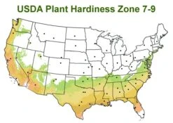 Chisato No Aki Camellia Japonica - 3 Gallon Pot 7 Chisato No Aki Camellia Japonica - 3 Gallon Pot -Botanhush Sales usda zone 7 9 map 600x425 1